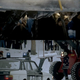 Illustration for article titled Side by side comparison: Let The Right One In vs. the American remake